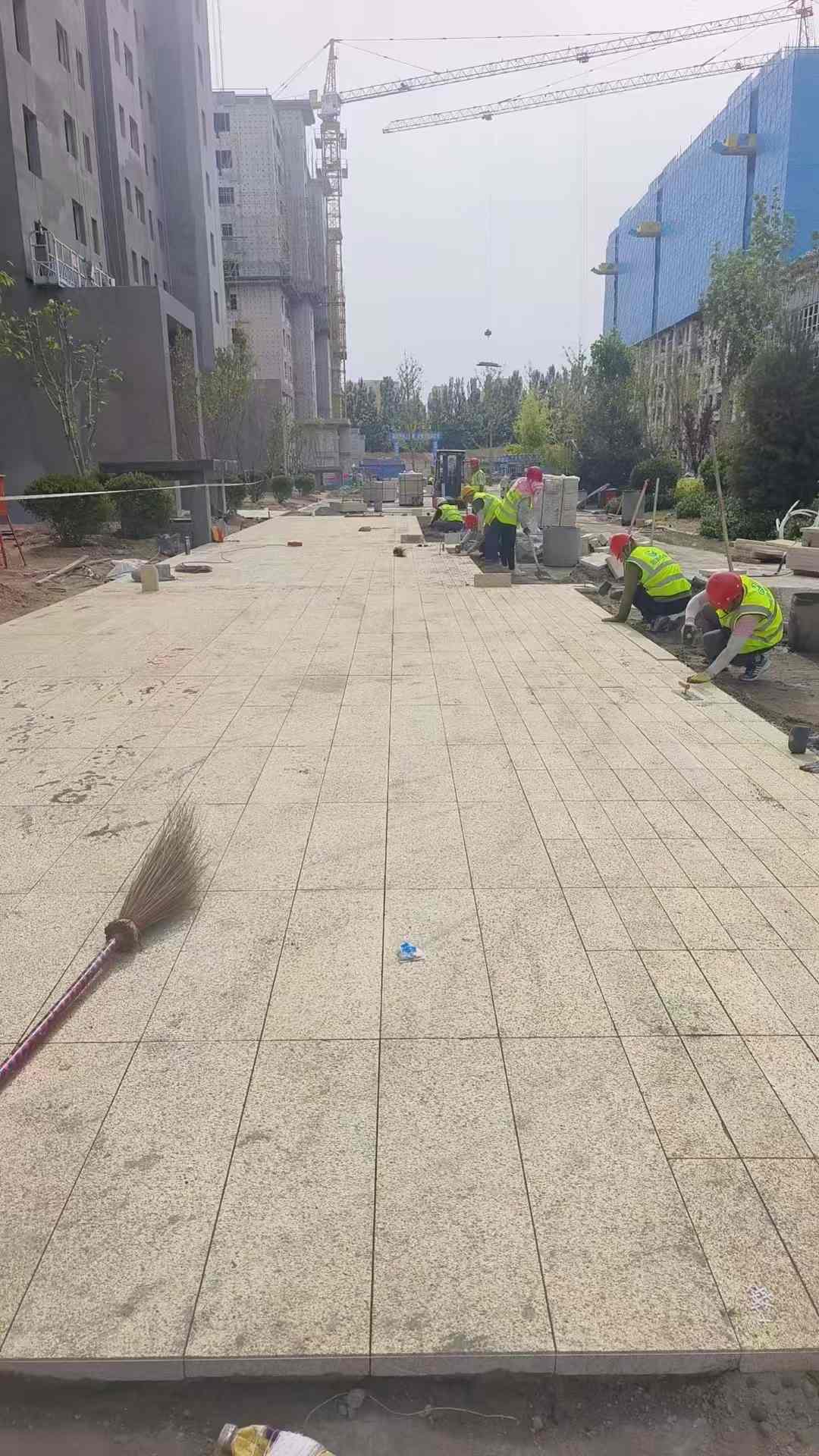郴州黄金麻荔枝面地铺案例