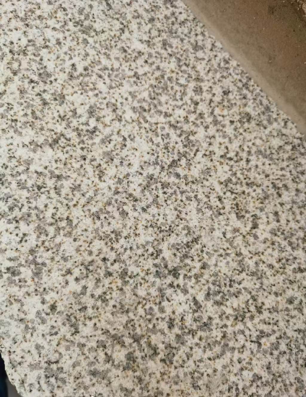 郴州 黄金麻中黄光面